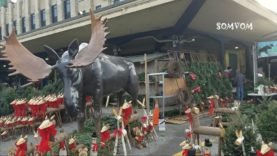 Noel_dans_le_parc_montreal