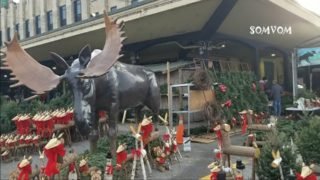 Noel_dans_le_parc_montreal