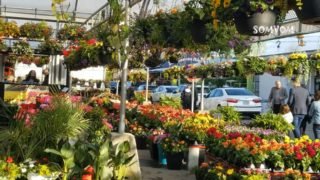 atwater_market_montreal_part_5