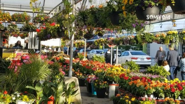 atwater_market_montreal_part_5